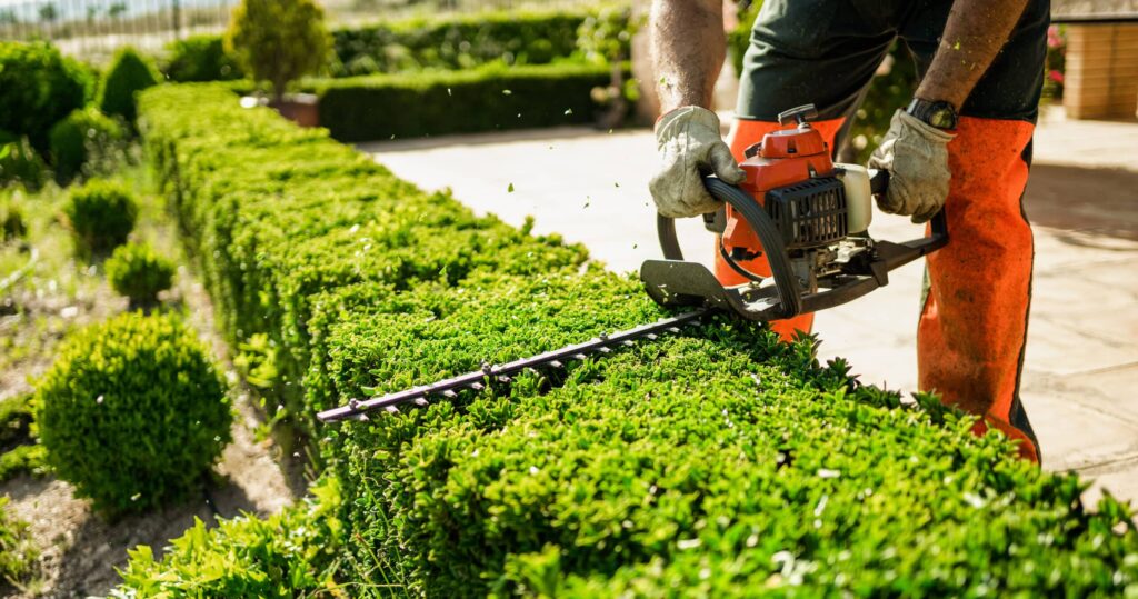 Landscaper-using-an-edgeer-on-bushes-scaled