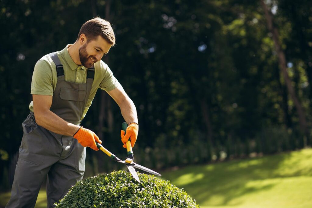 garden-worker-trimming-trees-wi