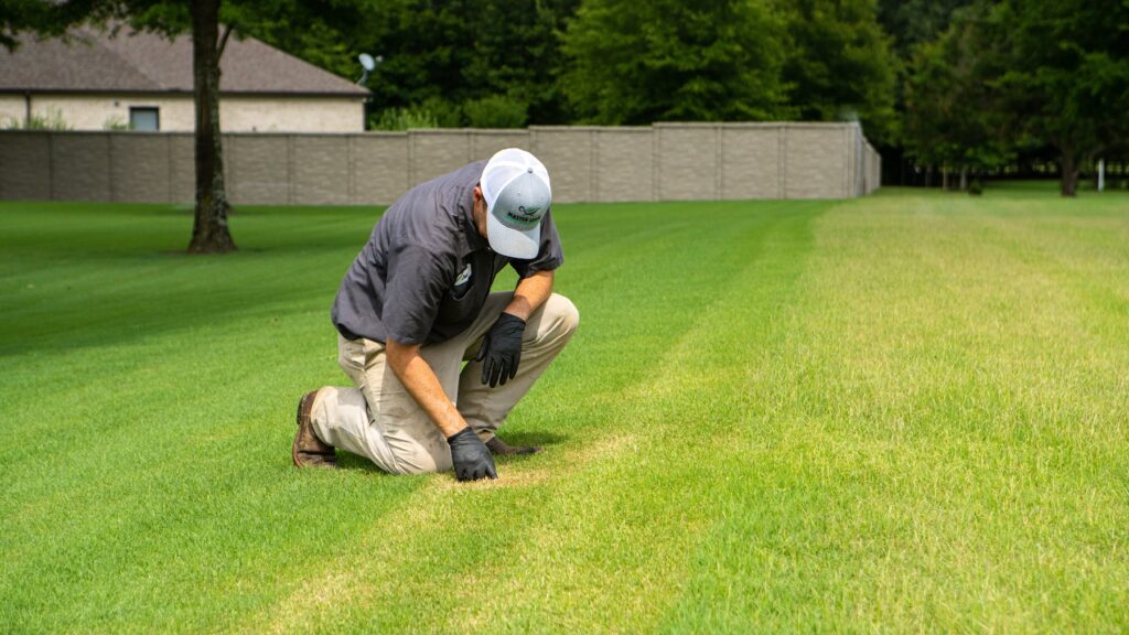 lawn-care-technician-inspection